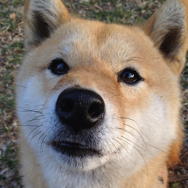 唯一的神迹，托尼凿穿哥斯达黎加，一场阿森纳无法复制的生死战