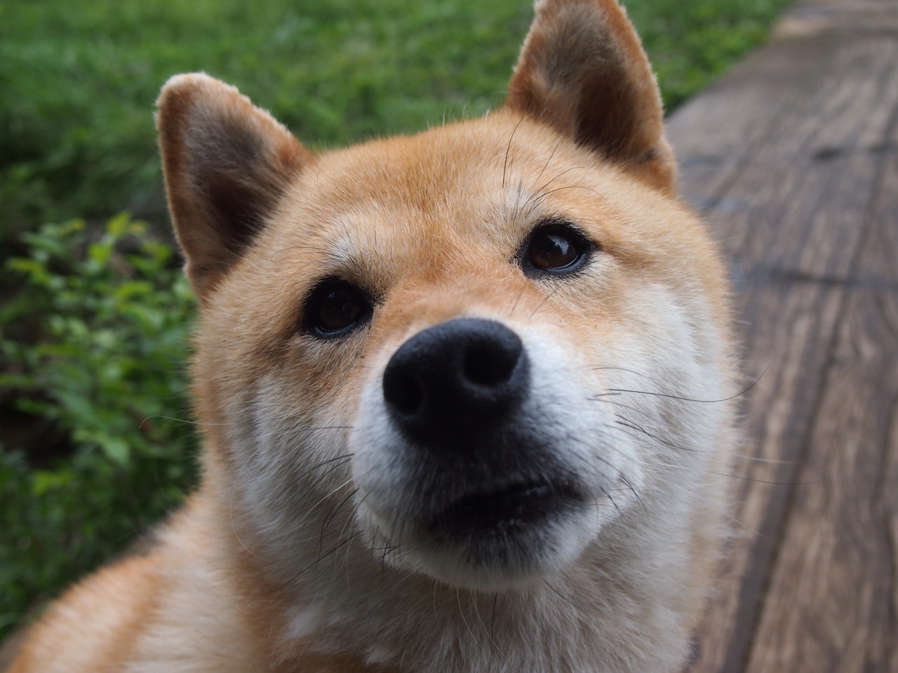 足球地理政治学，西甲德比中的巴拉圭元素与多特蒙德的南美封锁