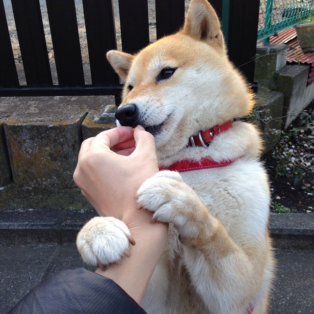 悬崖边的斗兽场，巴雷拉一役定江山，摩纳哥将皇家社会推下深渊